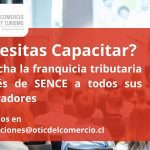 Somos Líderes en Capacitación