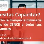 Somos Líderes en Capacitación