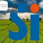 SII actualiza normas sobre inclusión de predios en catastro de bienes raíces para impuesto territorial